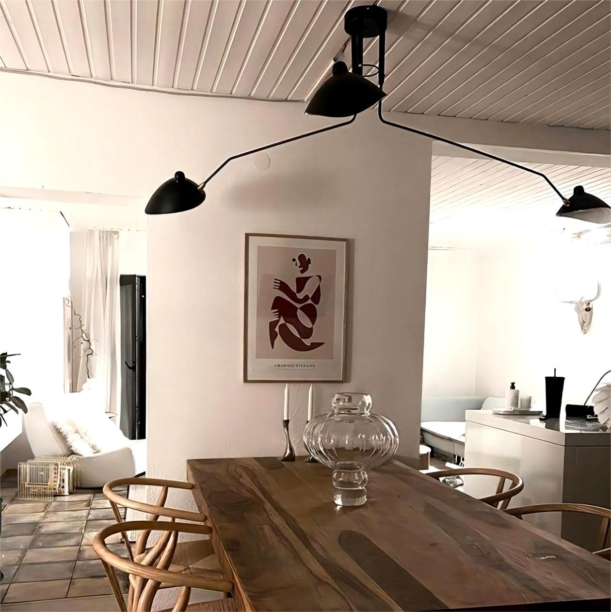 Duckbill Adjustable Led Ceiling Light S4