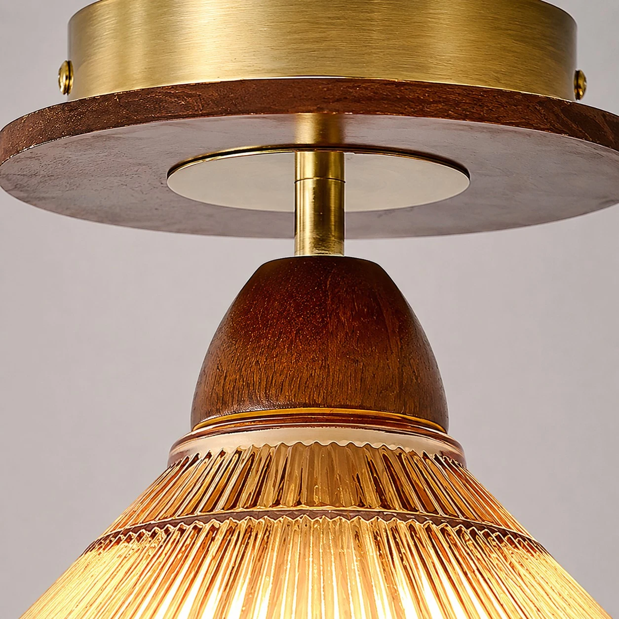 Brass tone canopy and wood tone ceiling light detail