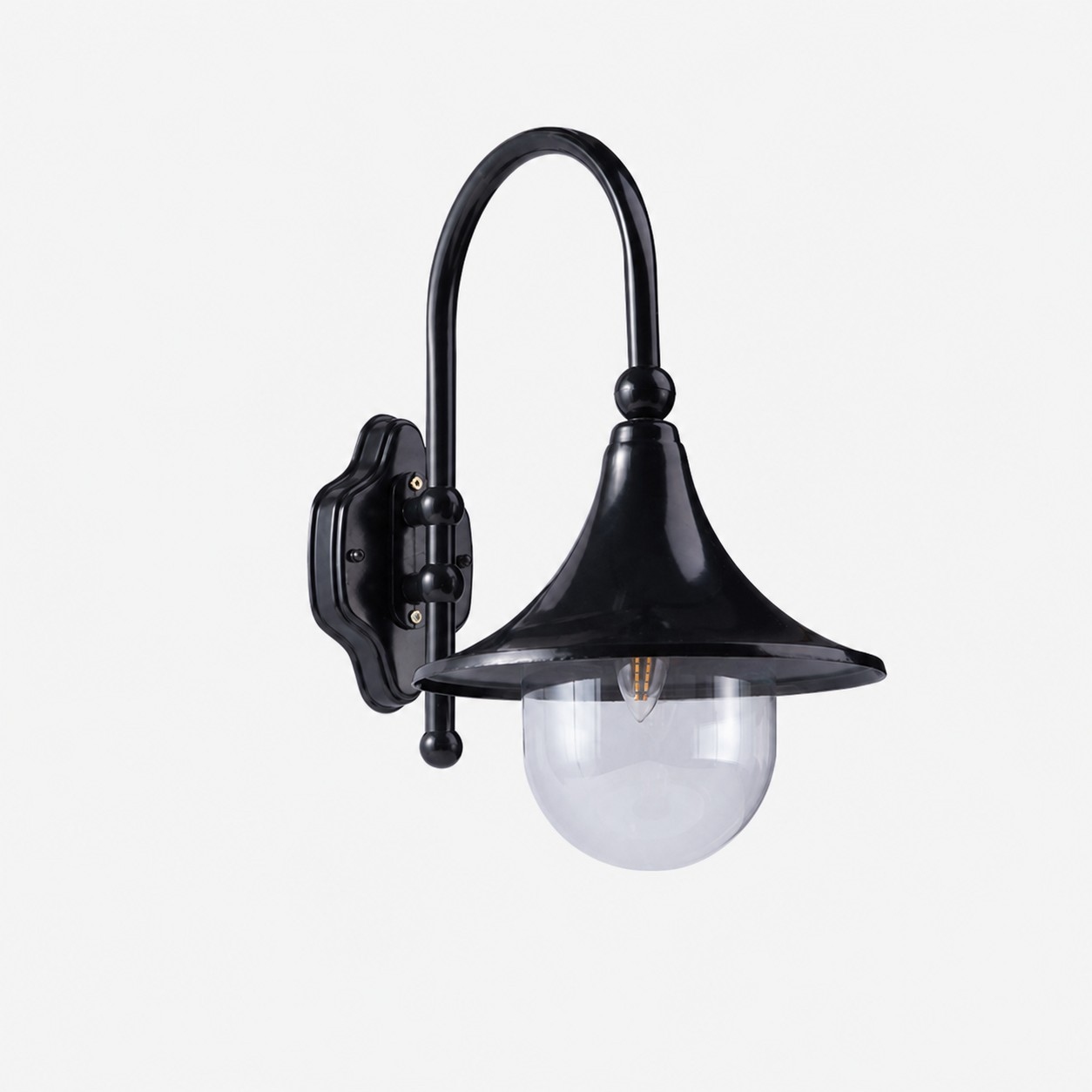 Black Trumpet 18.9″ / 48 cm