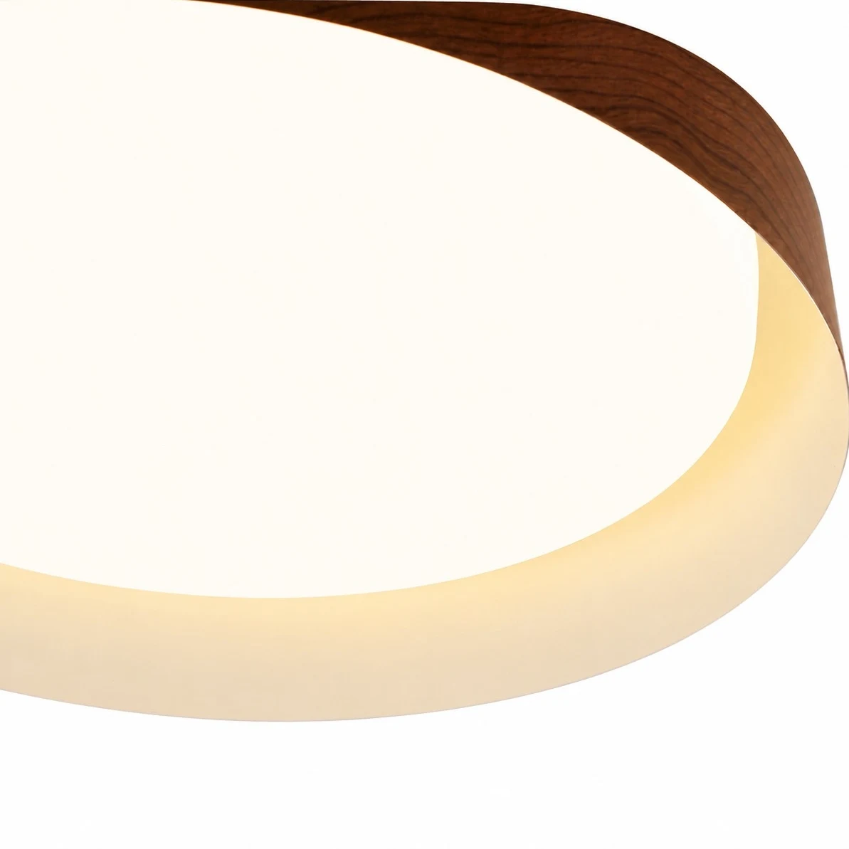Wabi-Sabi Wood Color LED Flush Mount Ceiling Light
