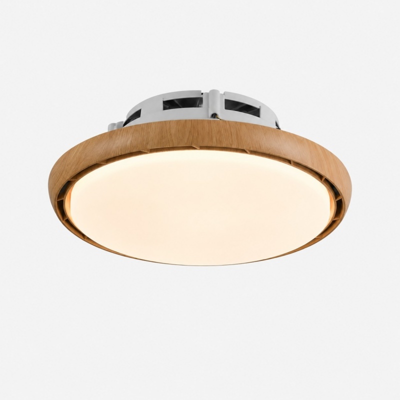 Round LED ceiling light 10