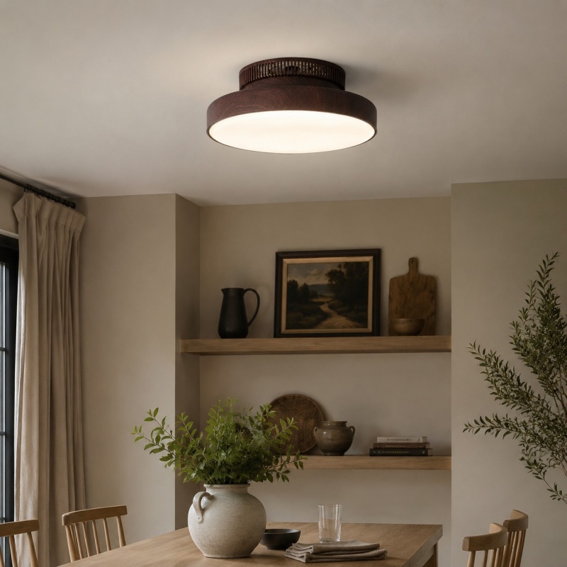 Round LED ceiling light 13